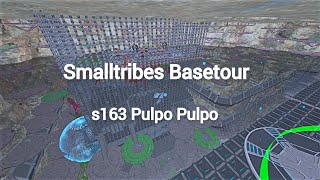 163 Gen2 Basetour | Pulpo Pulpo | Ark Official Smalltribes