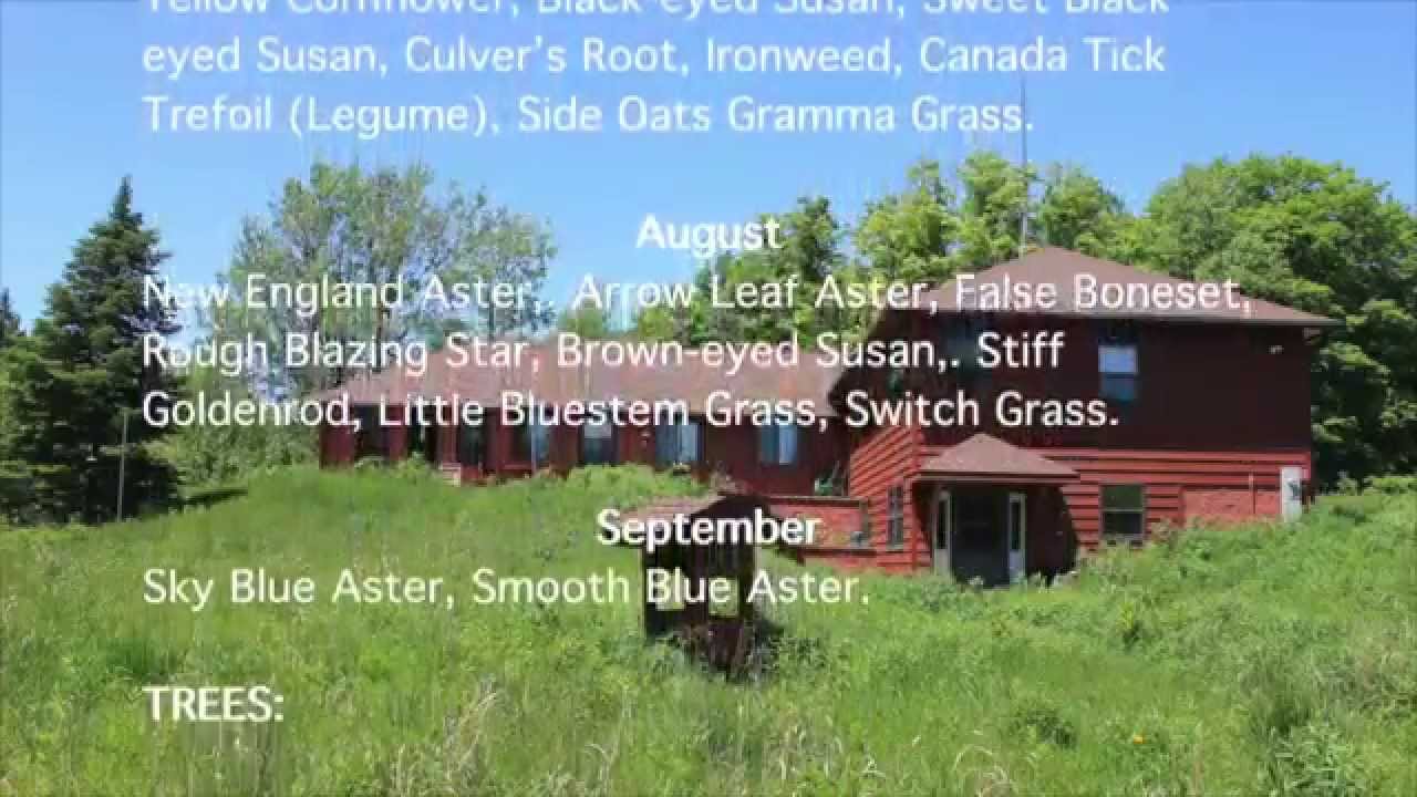 Prime practical prepper property for sale Presque Isle Wisconsin 2