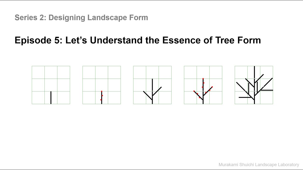 2-5 Let’s Understand the Essence of Tree Form - Structure, Growth, and ...