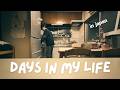 days in my life in Japan *new year, new resolutions: a homebody vlog*