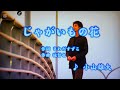 じゃがいもの花 / 小山雄大(原キー)