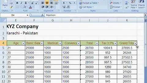 Free Learn Microsoft Excel 2007 Urdu Video Course Class 12