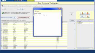 Allocate Contacts To Group