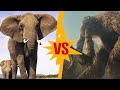 Giant Elephant vs Titanus Behemoth | SPORE