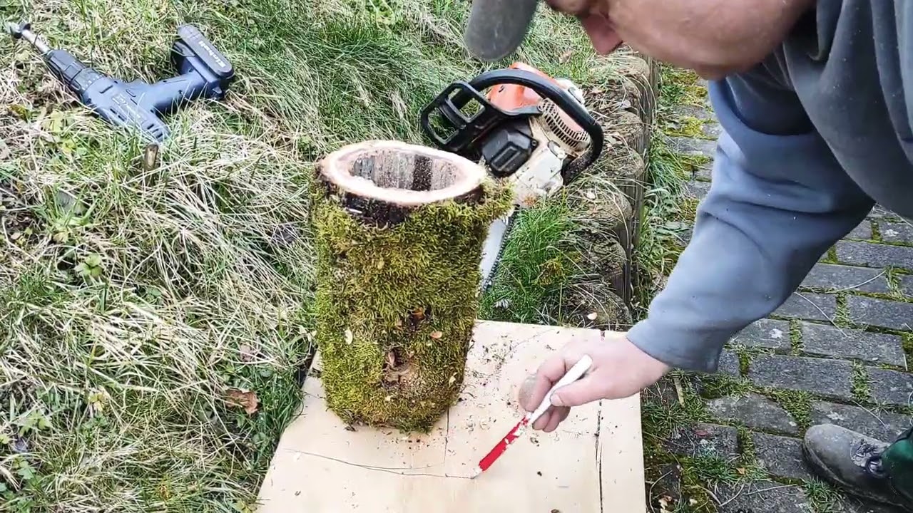 Die billigsten Nistkästen der Welt kann jeder bauen aus einem Apfelbaum