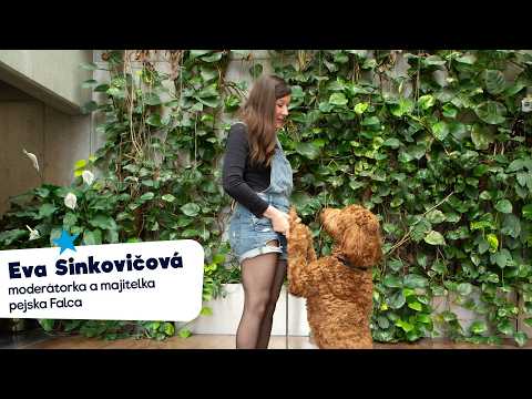 Znáte goldendoodla? Oblíbená moderátorka Eva Sinkovičová ho objevila díky americkému seriálu