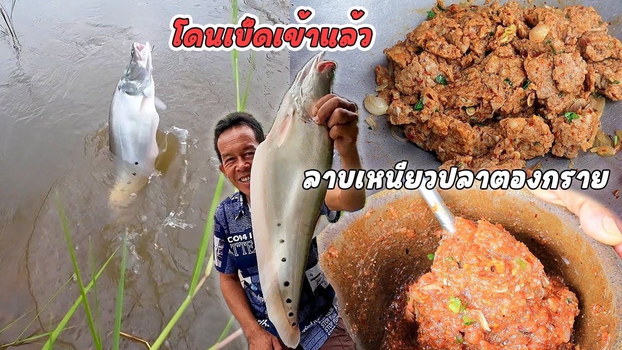 เบ็ดโดนของดีเข้าแล้ว!! หมานๆเช้านี้ ลาบเหนียวปลาตองกรายแซบๆในรอบหลายเดือน!!