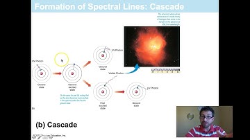 Light and Matter: Formation of Spectral Lines