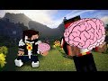 Minecraft [Прохождение Карты] - Самый большой мозг!