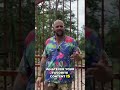 Exotic Farm Animals: What YOU Want to See Next! #shorts