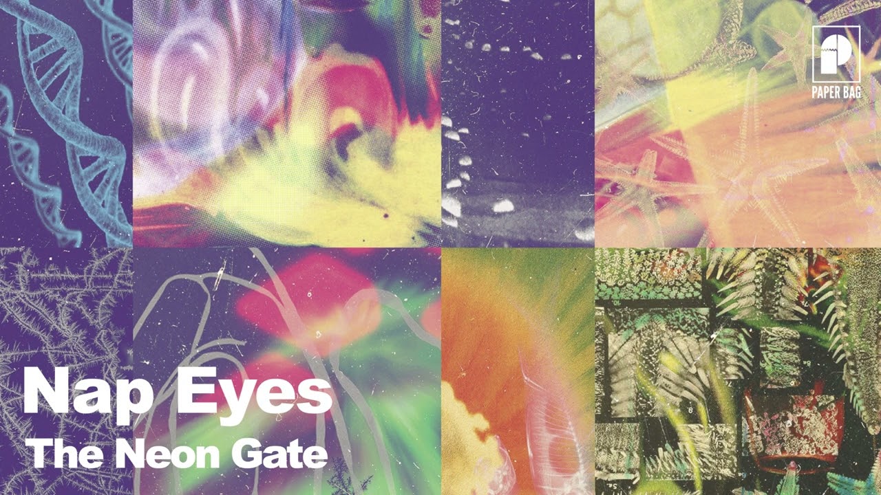 Watch Nap Eyes - Ice Grass Underpass on YouTube Watch Nap Eyes - Ice Grass Underpass on YouTube