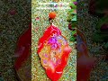 Art de la résine bijoux pendentif perroquet #artrésine #pendentif #resinepoxy #uvresin 