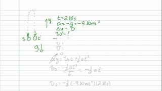 Free Fall Problem 3
