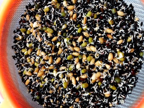 Video: Qual è la percentuale di semi germinati?