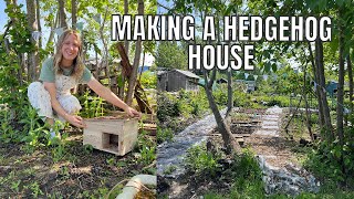 MAKING A HEDGEHOG HOUSE! / ALLOTMENT GARDENING FOR BEGINNERS