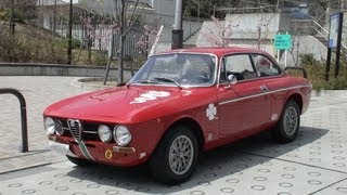 Alfa  Romeo  GT1300 junior（1750GTV look)  '1971