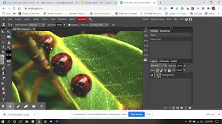 How to Remove Part of an Image with Photopea