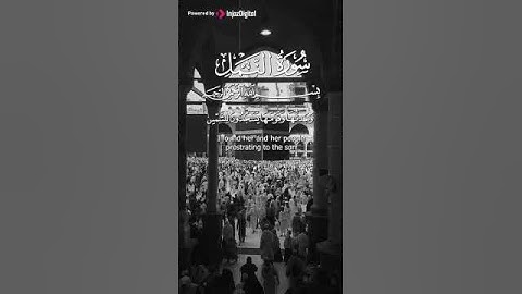 تلاوة تهز القلب بصوت الشيخ علي جابر  #القرآن #على جابر #تلاوات الحرم