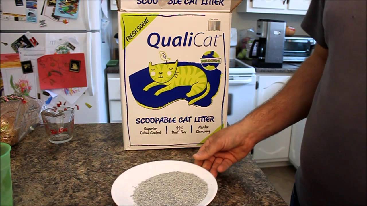 Costco Qualicat Cat Litter Product 