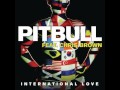 Pitbull Ft. Chris Brown - International Love remix 2012 (dmz mix)