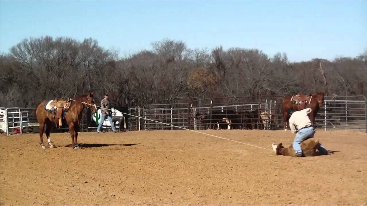 SANY0097.MP4 Calf Roping Horse For Sale YouTube