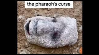 The Pharaohs curse meme compilation