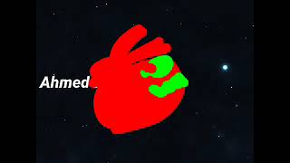 Ahmed Zarani Of The Importer