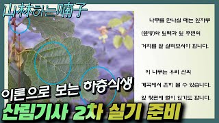 [산림기사 실기]산림기사 2차 시험 대비 1강 하층식생 ★산림하는 남자 김정호 입니다.