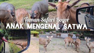 Tour Keliling Taman Safari | Anak Mengenal Binatang Dari Dekat | Liburan Keluarga Seru Di Bogor