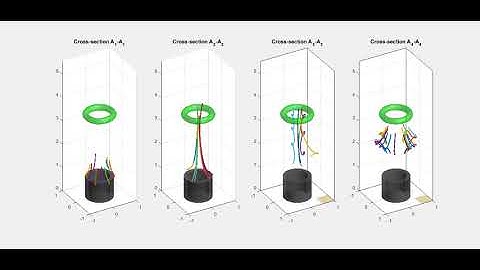 Time evolution of the interaction between a bubble plume and a vortex ring