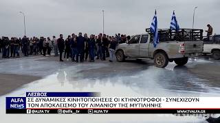 ΛΕΣΒΟΣ: «LOCKDOWN» ΣΤΟ ΛΙΜΑΝΙ ΑΠΟ ΚΤΗΝΟΤΡΟΦΟΥΣ – «ΠΕΤΑΜΕ ΤΟ ΓΑΛΑ, ΤΑ ΖΩΑ ΜΑΣ ΛΙΜΟΚΤΟΝΟΥΝ»