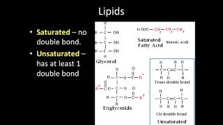 Video Lecture 3.5: Biological Macromolecules II