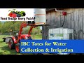 How I hook up my IBC tote for water collection to irrigate the berry patch