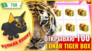 Абиссинская кошка в адопт ми. Открыла 100 Lunar Tiger Box Adopt Me Roblox. Абиссинская кошка в адопт ми. Открыла 100 Lunar Tiger Box Adopt Me Roblox.