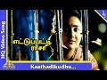 Kaathadikudhu Video Song |Ettupatti Rasa Tamil Movie Songs |Napoleon|Kushboo|Urvashi|Pyramid Music