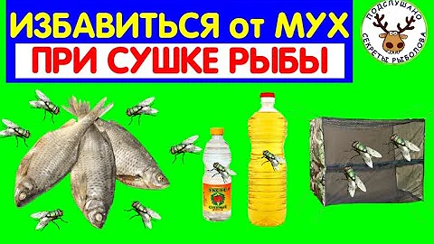 САМЫЙ ВЕРНЫЙ СПОСОБ ИЗБАВИТЬСЯ ОТ МУХ ПРИ СУШКЕ РЫБЫ 👍 ПЕРЕПРОБОВАЛ РАЗНЫЕ - ОСТАНОВИЛСЯ НА ОДНОМ