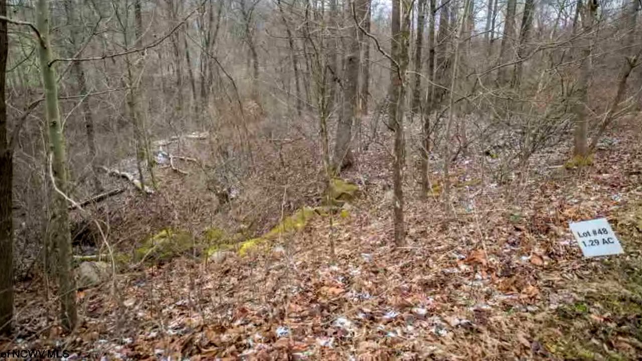 Residential for sale Lot 48 Falling Water, WV 26508 YouTube