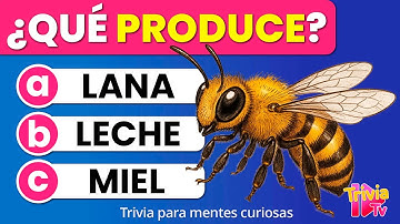 100 Preguntas de Primaria | Trivia de Cultura General Fácil