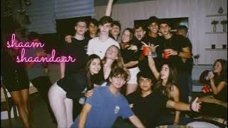 shaam shaandaar  ( slowed   reverb ) @vibestheutic