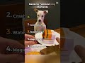 Ranking top 5 funniest dog moments #funny 🤣