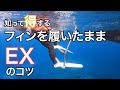 【フィンを履いたままのエキジットのやり方】熱烈先生のダイビング講座120