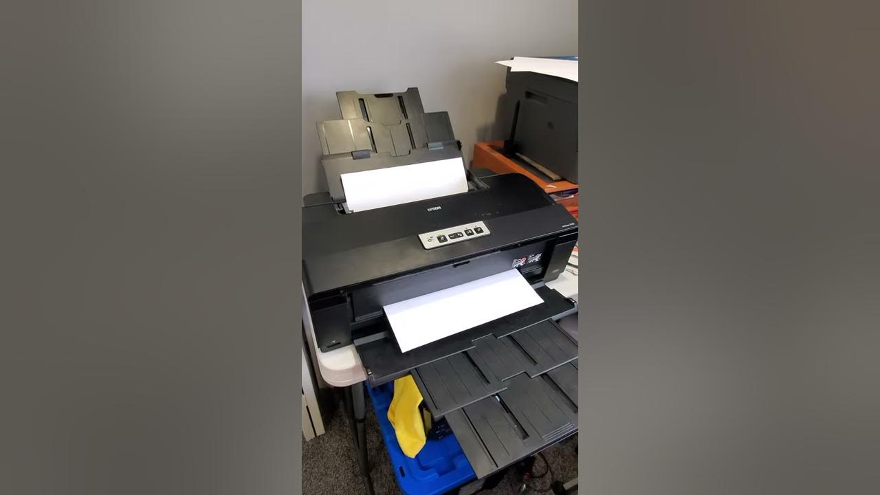 Epson 1430 / Sure color P600 printer paper feed issue YouTube