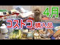 【4月】コストコ 購入品紹介【2023年】