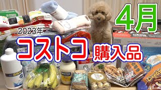 【4月】コストコ 購入品紹介【2023年】