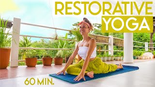 Dany Yoga || 1 Hour Yoga for Self Awareness || Me Time Yoga and Wellness screenshot 2