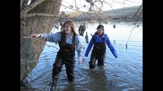 Streambank Restoration and the JMU Farm: Structure and Stability