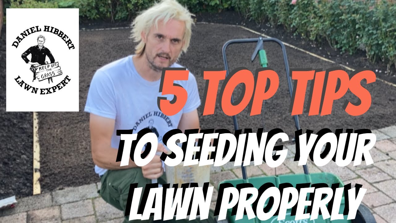How to grow seed in a new lawn, get that great new lawn with this seed ...
