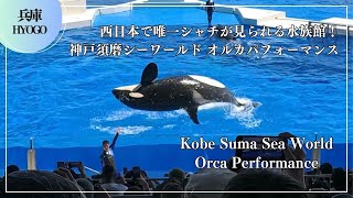 西日本で唯一シャチが見られる水族館 神戸須磨シーワールド オルカパフォーマンス シャチショー Kobe Suma Sea World Orca Performance