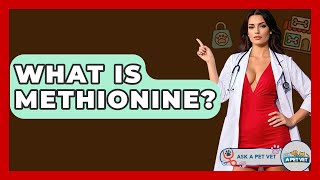 What Is Methionine? - Ask A Pet Vet