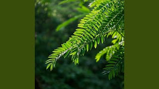 Download Lagu Rindu Tak Bernyawa MP3